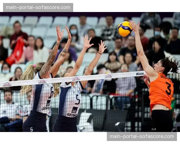 国际排联酝酿重大改革调整排球赛历，世锦赛或将改至冬季档期