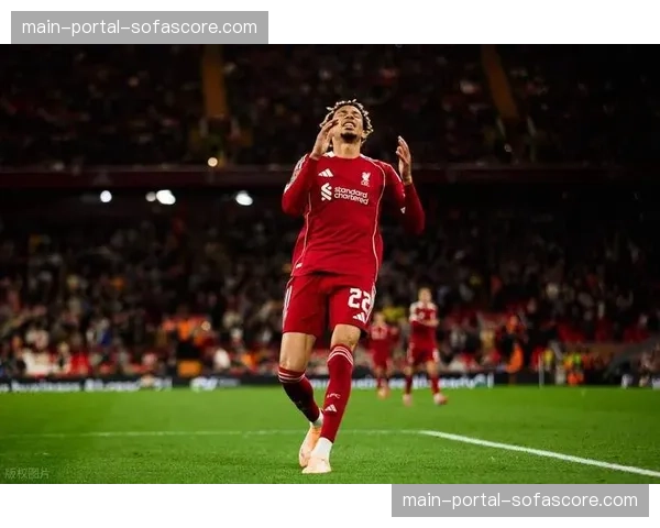 法国队世界杯备战受挫：杜埃和埃基蒂克在欧冠中受伤